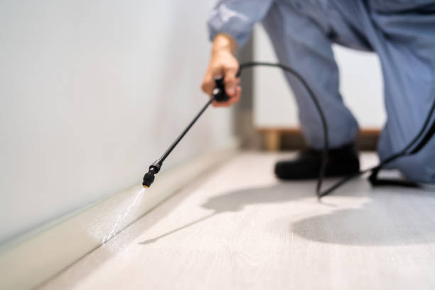 Licensed Termite Control service in Pope County County, IL - Nex Pest Control