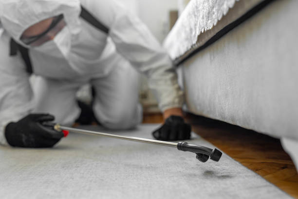 Professional Termite Control technician working in Pope County County, IL